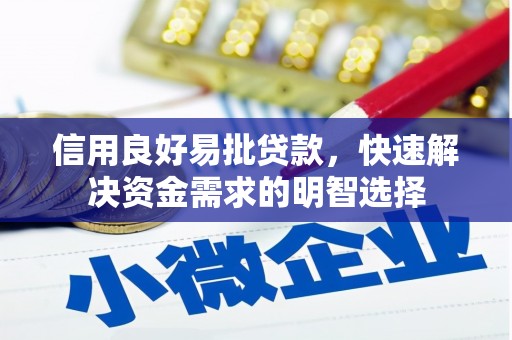 西林信用良好易批贷款，快速解决资金需求的明智选择