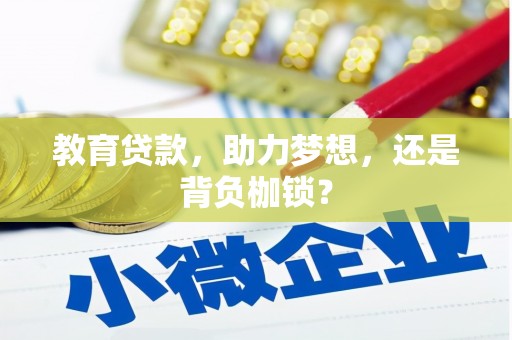 西林教育贷款，助力梦想，还是背负枷锁？