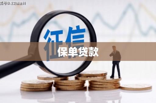西林保单贷款