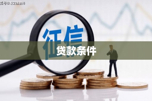 西林贷款条件