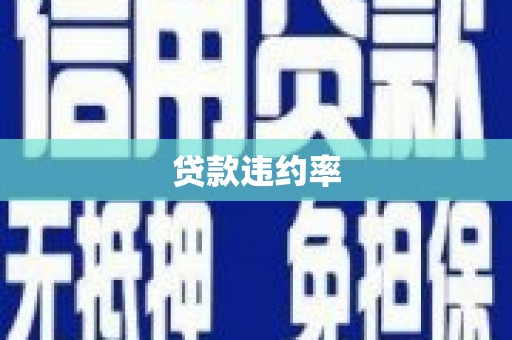 西林贷款违约率