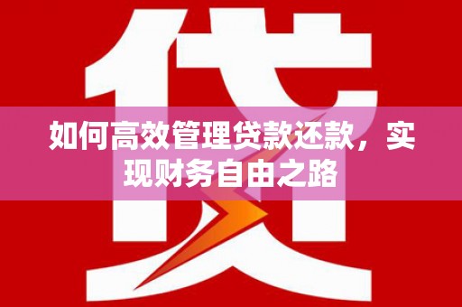 西林如何高效管理贷款还款，实现财务自由之路