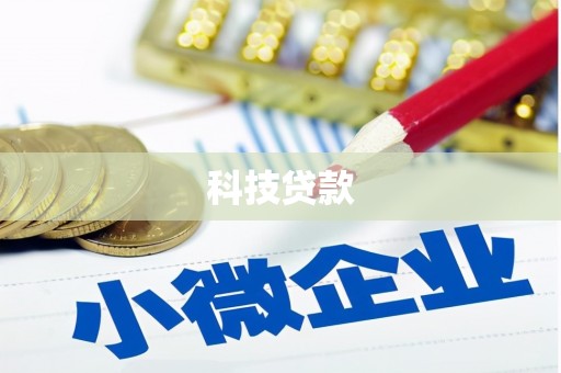 西林科技贷款