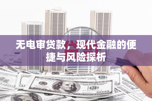 西林无电审贷款，现代金融的便捷与风险探析