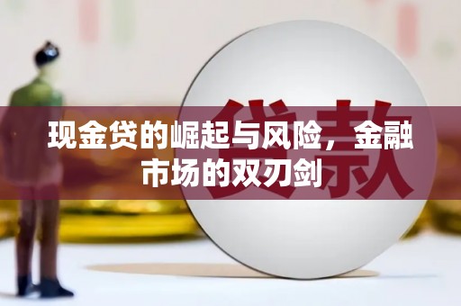 西林现金贷的崛起与风险，金融市场的双刃剑