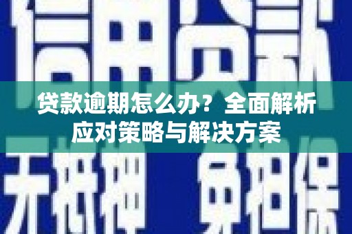 西林贷款逾期怎么办？全面解析应对策略与解决方案