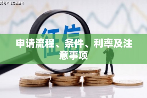 西林申请流程、条件、利率及注意事项