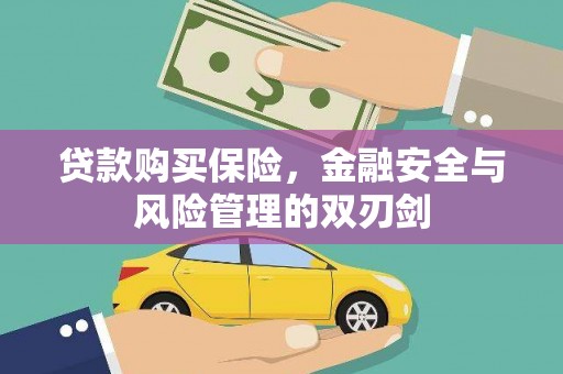 西林贷款购买保险，金融安全与风险管理的双刃剑