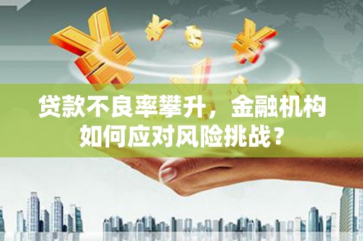 西林贷款不良率攀升，金融机构如何应对风险挑战？