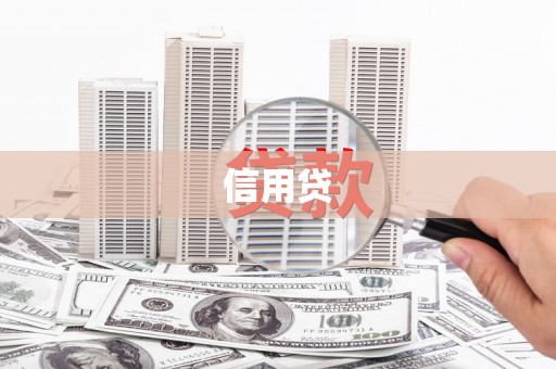 西林信用贷