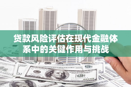 西林贷款风险评估在现代金融体系中的关键作用与挑战