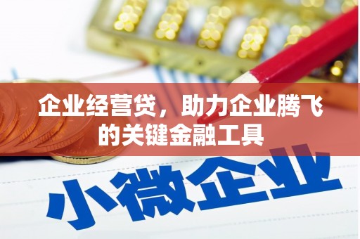 西林企业经营贷，助力企业腾飞的关键金融工具