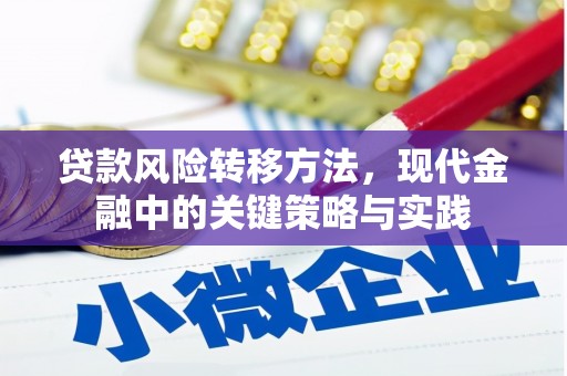 西林贷款风险转移方法，现代金融中的关键策略与实践
