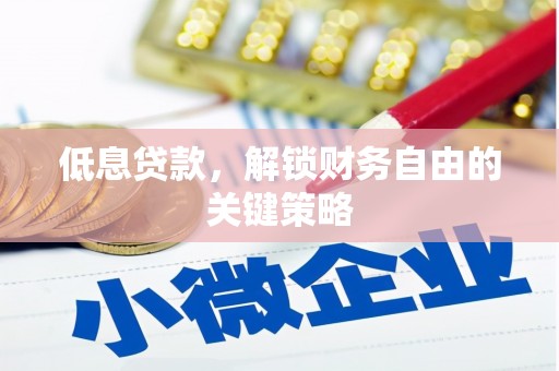 西林低息贷款，解锁财务自由的关键策略