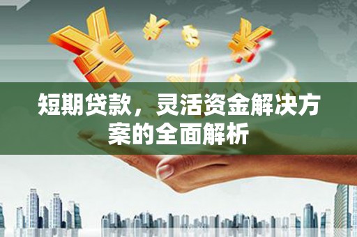 西林短期贷款，灵活资金解决方案的全面解析