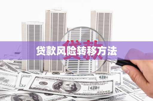 西林贷款风险转移方法