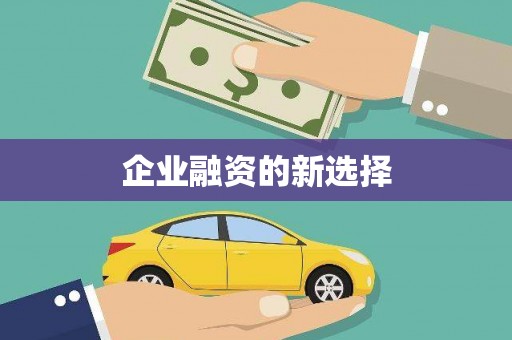 西林企业融资的新选择