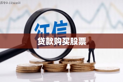 西林贷款购买股票