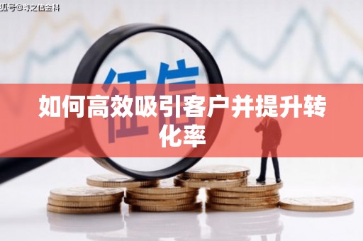 西林如何高效吸引客户并提升转化率