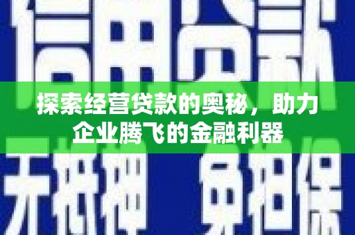西林探索经营贷款的奥秘，助力企业腾飞的金融利器