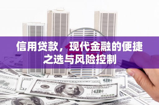 西林信用贷款，现代金融的便捷之选与风险控制