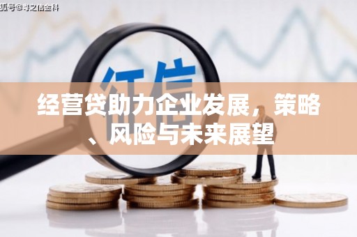 西林经营贷助力企业发展，策略、风险与未来展望