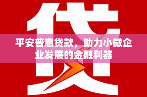 西林平安普惠贷款，助力小微企业发展的金融利器