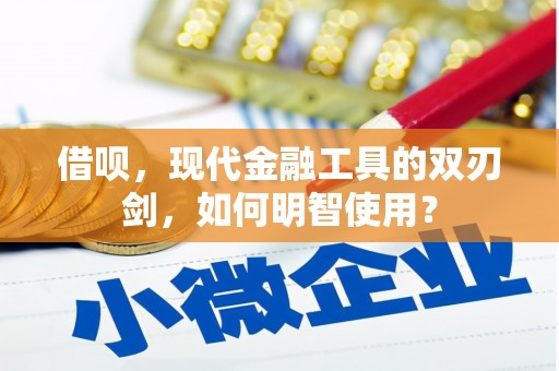 西林借呗，现代金融工具的双刃剑，如何明智使用？