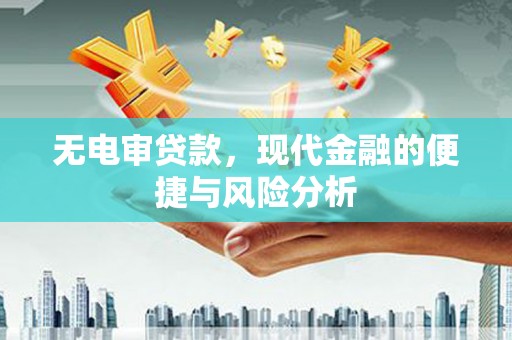 西林无电审贷款，现代金融的便捷与风险分析
