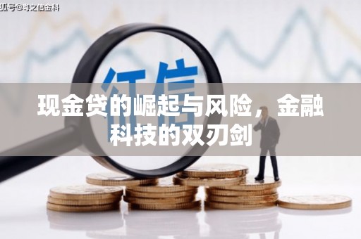 西林现金贷的崛起与风险，金融科技的双刃剑