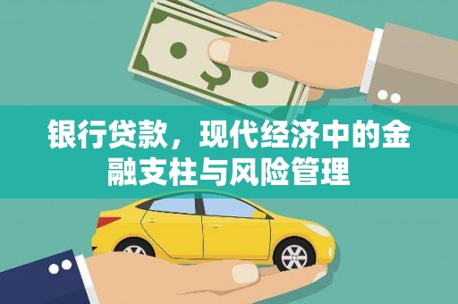 西林银行贷款，现代经济中的金融支柱与风险管理