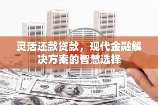 西林灵活还款贷款，现代金融解决方案的智慧选择
