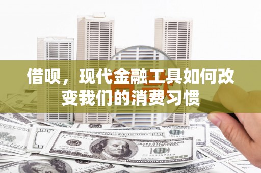 西林借呗，现代金融工具如何改变我们的消费习惯