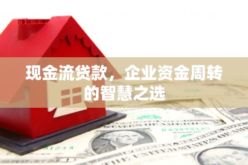 西林现金流贷款，企业资金周转的智慧之选