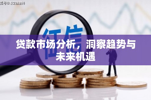西林贷款市场分析，洞察趋势与未来机遇