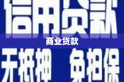 西林商业贷款