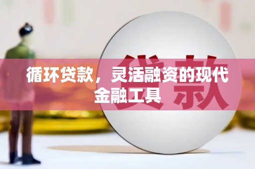 西林循环贷款，灵活融资的现代金融工具