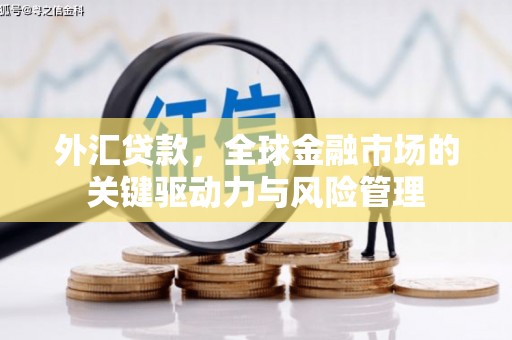 西林外汇贷款，全球金融市场的关键驱动力与风险管理