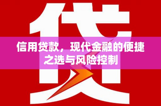 西林信用贷款，现代金融的便捷之选与风险控制