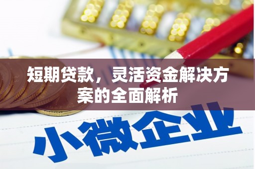 西林短期贷款，灵活资金解决方案的全面解析
