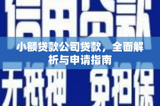 西林小额贷款公司贷款，全面解析与申请指南