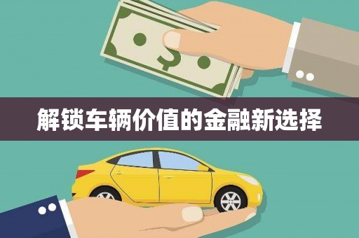 西林解锁车辆价值的金融新选择