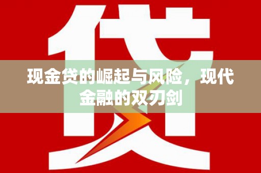 西林现金贷的崛起与风险，现代金融的双刃剑