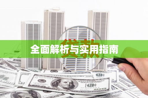 西林全面解析与实用指南