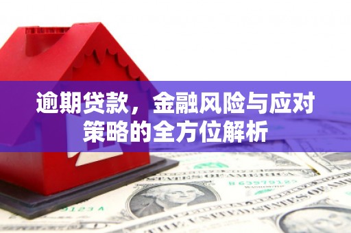 西林逾期贷款，金融风险与应对策略的全方位解析