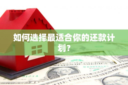 西林如何选择最适合你的还款计划？