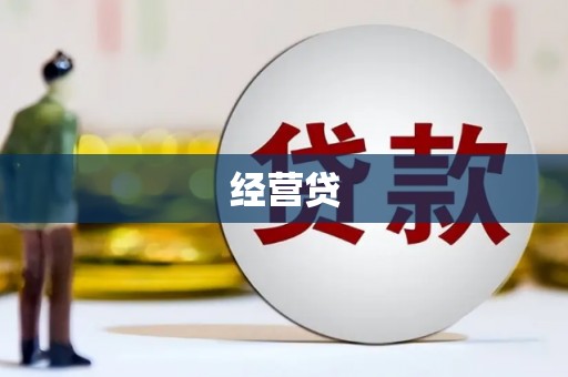 西林经营贷