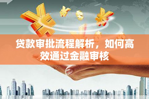西林贷款审批流程解析，如何高效通过金融审核