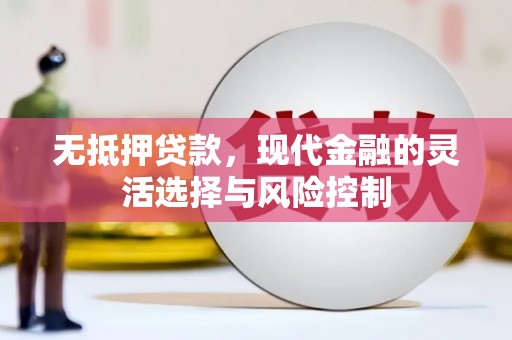 西林无抵押贷款，现代金融的灵活选择与风险控制