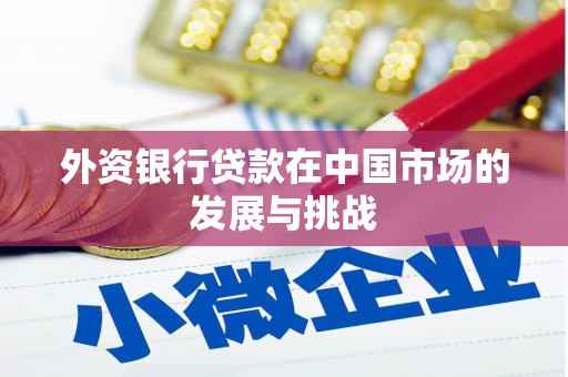 西林外资银行贷款在中国市场的发展与挑战